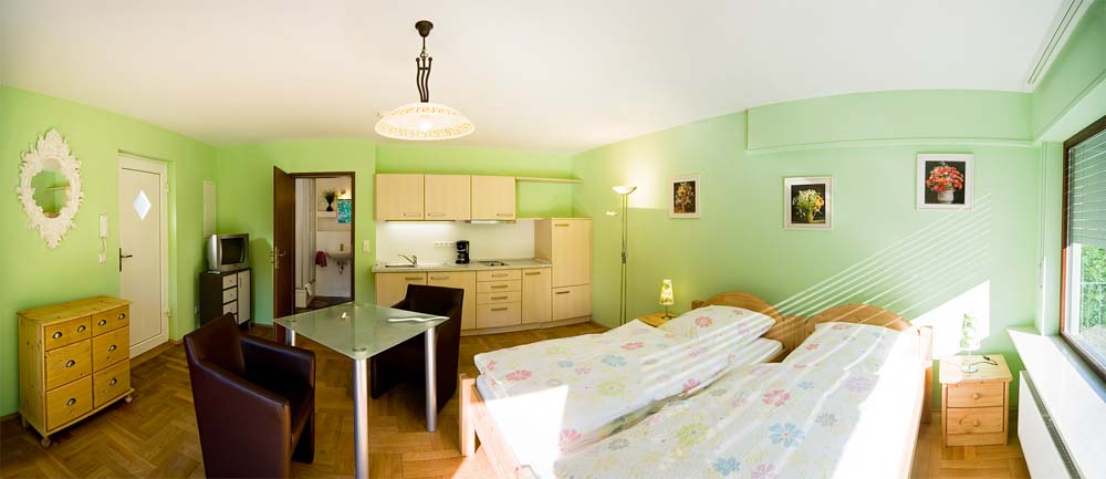 Heidelberg Ferienwohnungen Mazur: FeWo 2 'Blütenzauber'