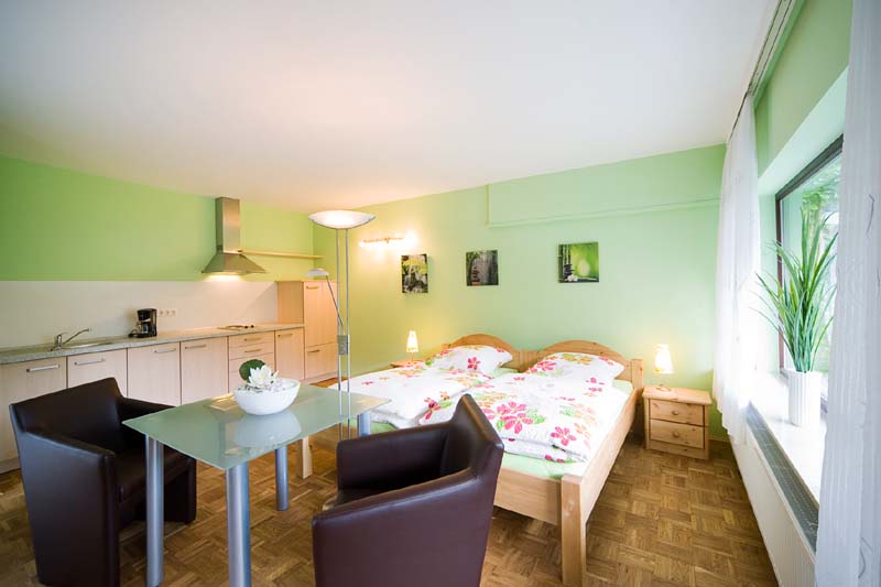 Heidelberg Ferienwohnungen Mazur: FeWo 4 'Die grüne Oase'